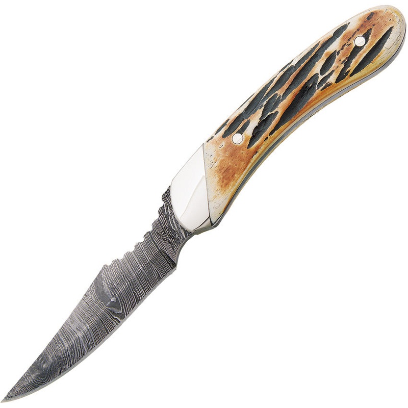 Bear & Son Caper India Stag Bone Handle Damascus Steel Fixed Blade Knife 5009D