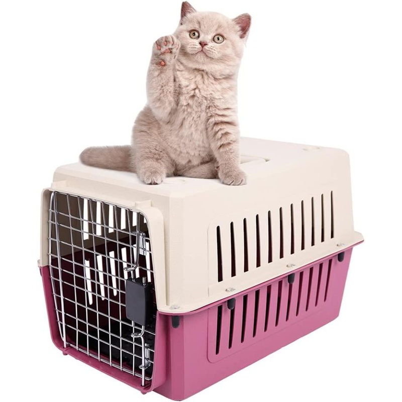 Plastic Cat & Dog Carrier Cage with Chrome Door Portable Pet Box Airline Approved, Medium, Red