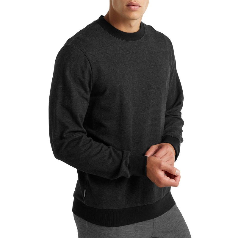 Icebreaker Mens Central LS Sweatshirt
